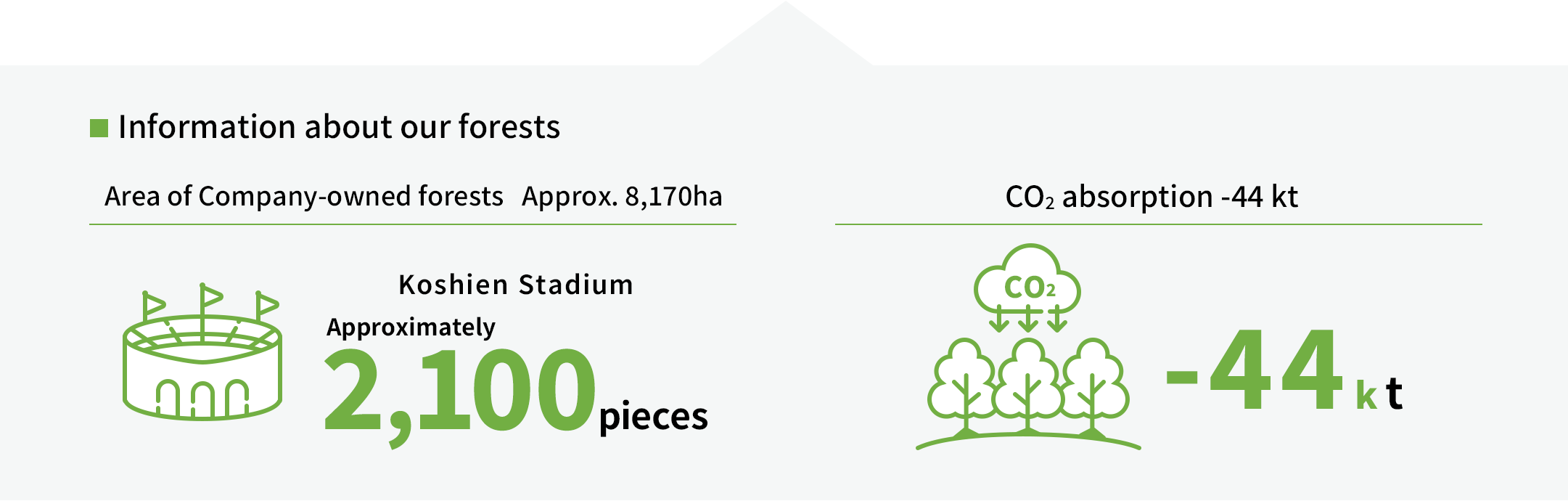 Information about our forests